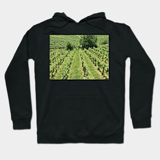 Styrian Wine Country in June Hoodie